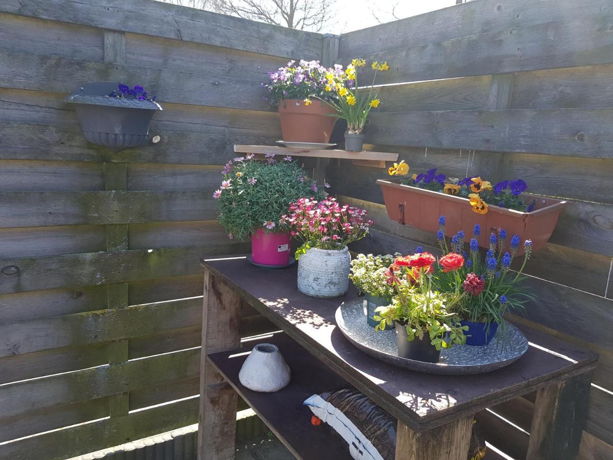 Solstice, Quiet Cottage In Bruinisse, Zeeland エクステリア 写真