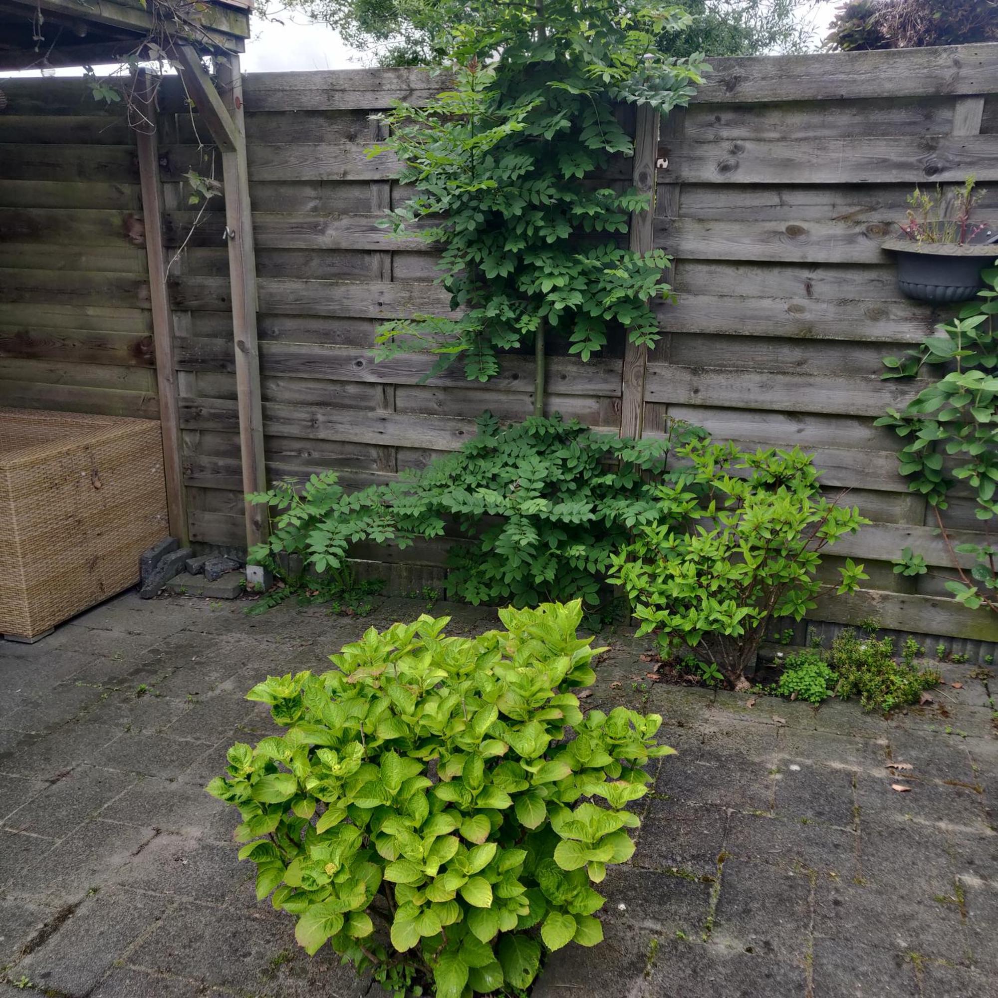 Solstice, Quiet Cottage In Bruinisse, Zeeland エクステリア 写真