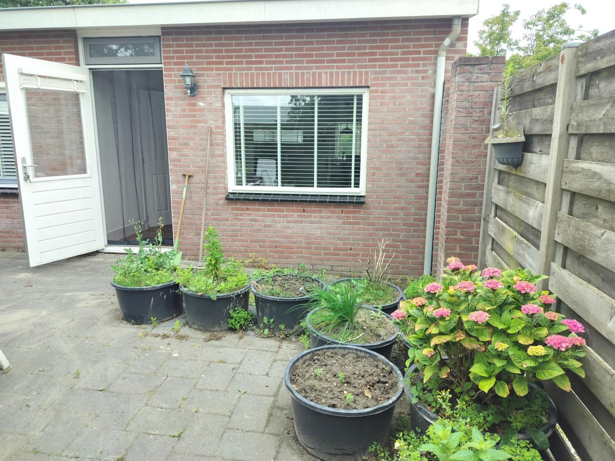 Solstice, Quiet Cottage In Bruinisse, Zeeland エクステリア 写真